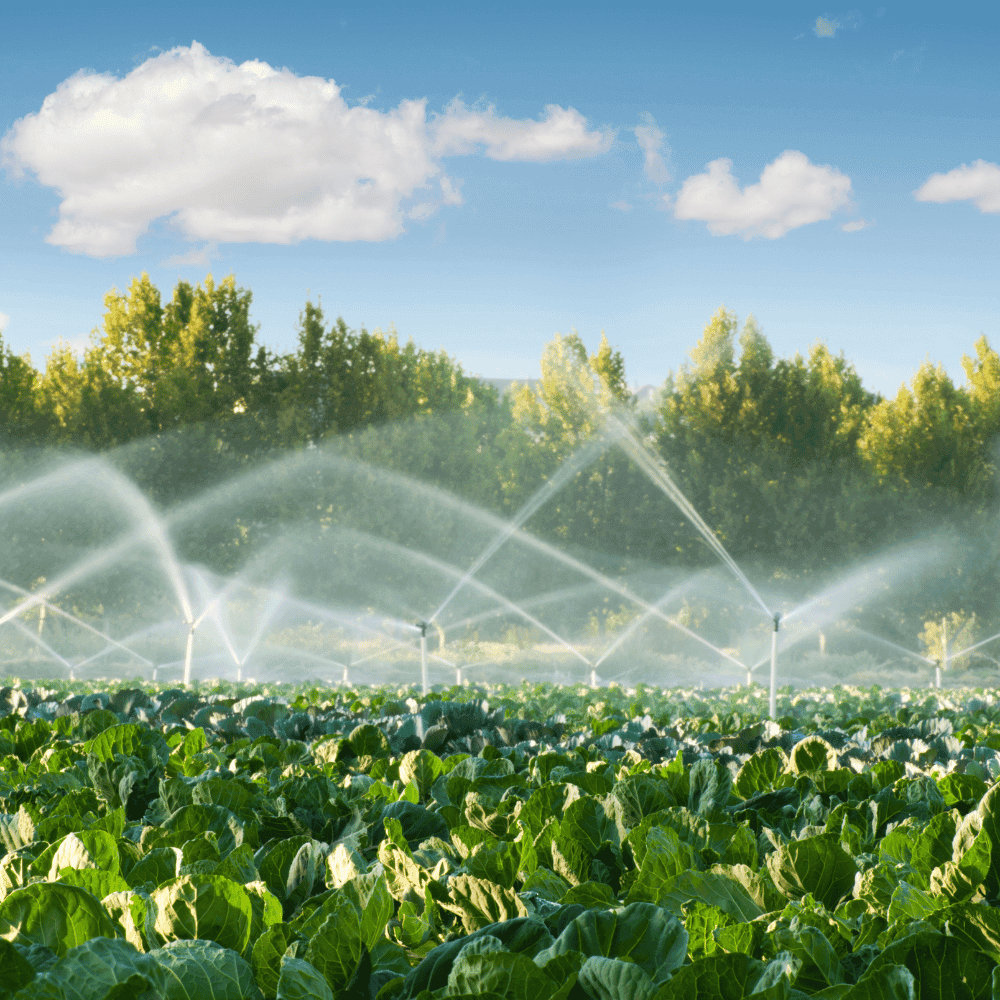 Mudanças climáticas e irrigação: como preparar a agricultura para um cenário de maior variabilidade hídrica